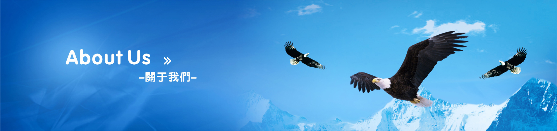 关于我们